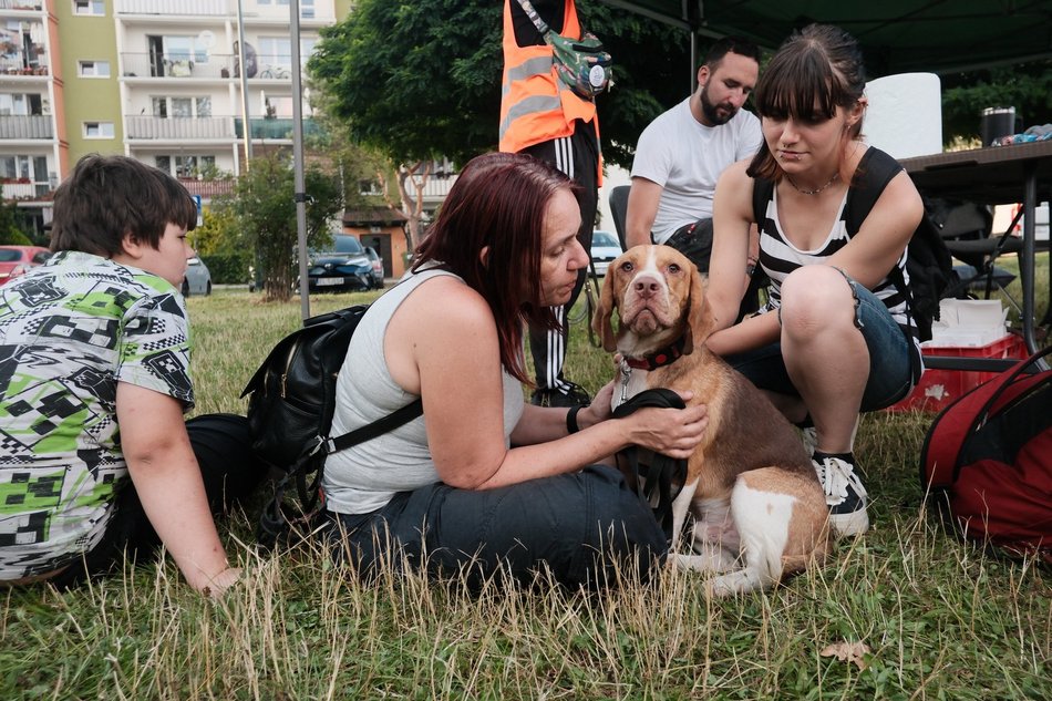 Łódź. Psia Polówka za nami! Na Olechowie pojawili się łodzianie ze swoimi czworonogami