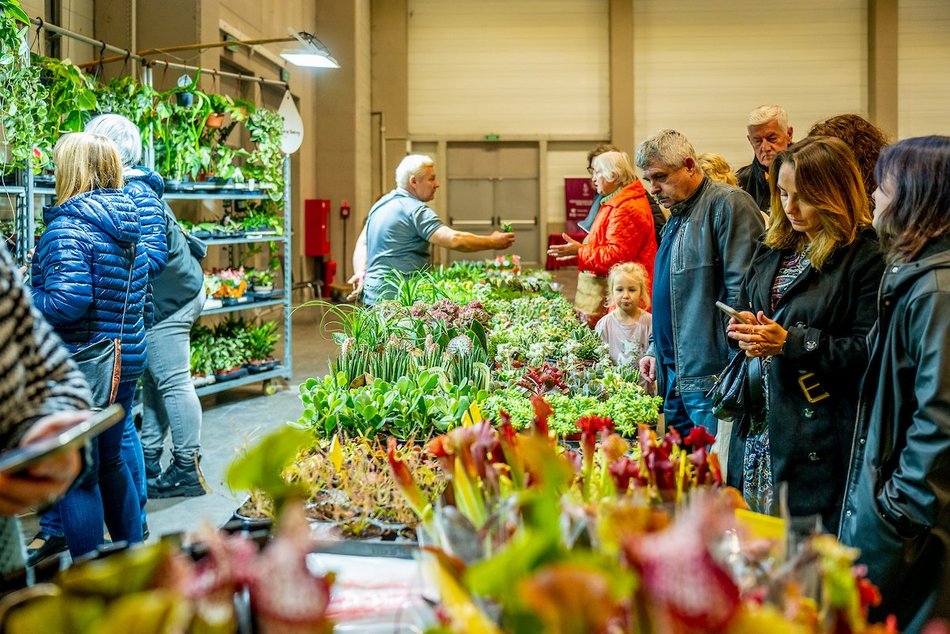 Łódź. Odkryj prawdziwą magię kamieni! Trwają Targi GemstoneExpo