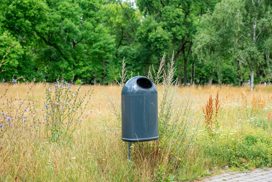50 nowych koszy na psie odchody w Łodzi. Pojawią się na często uczęszczanych skwerach