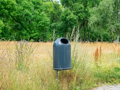 50 nowych koszy na psie odchody w Łodzi. Pojawią się na często uczęszczanych skwerach