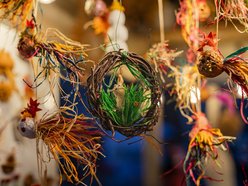 Łódź. Wielkie dzieła w łupinie. Poznaj łodzian, którzy potrafią zrobić sztukę ze wszystkiego!