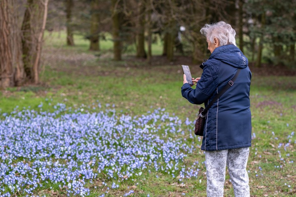 Wiosenny Ogród Botaniczny w Łodzi. Spacer wśród budzącej się do życia przyrody