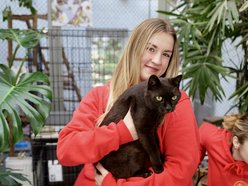 Łódź. Sportowcy na rzecz schroniska w Łodzi. Paleta pełna karmy i wyprawek dla zwierzaków!