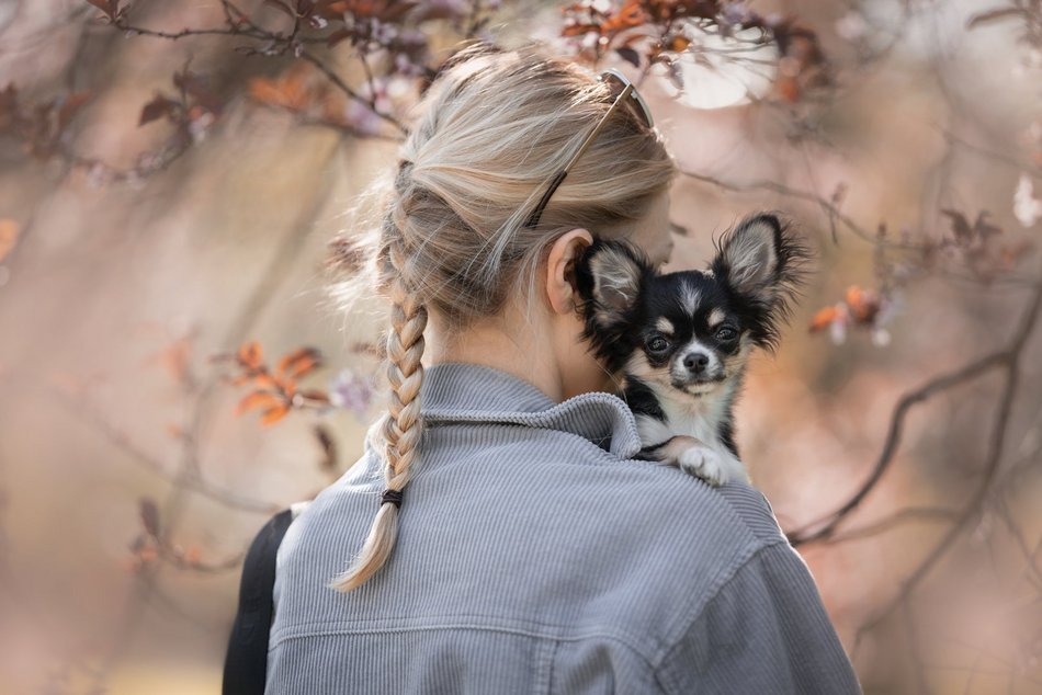 Piesografia zdjęcia zwierzaków
