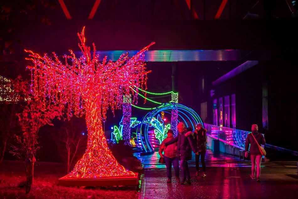 Park Miliona Świateł w Orientarium Zoo Łódź