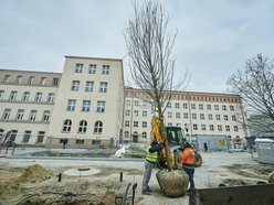 Pasaż Schillera będzie zielony!