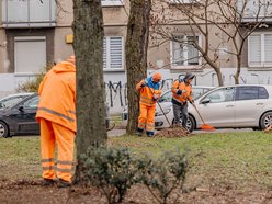 Sprzątanie po zimie w parkach w Łodzi