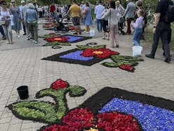 Łódź. Boże Ciało w Łódzkiem. Kwiatowe dywany w Spycimierzu