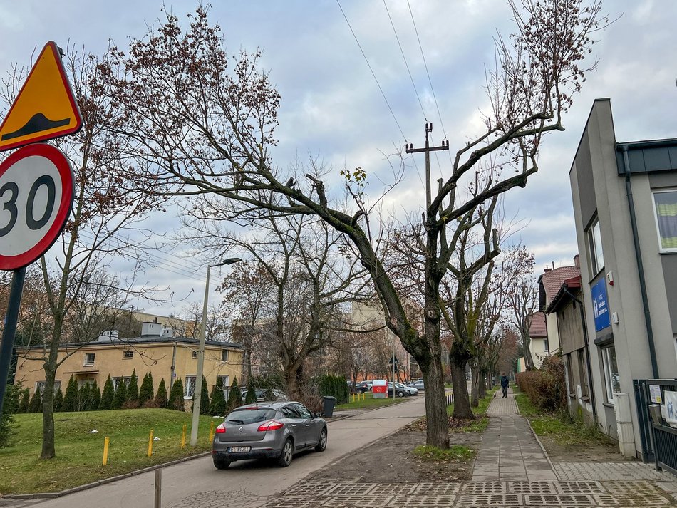 Ulica Socjalna. Drzewa zniszczone przez PGE