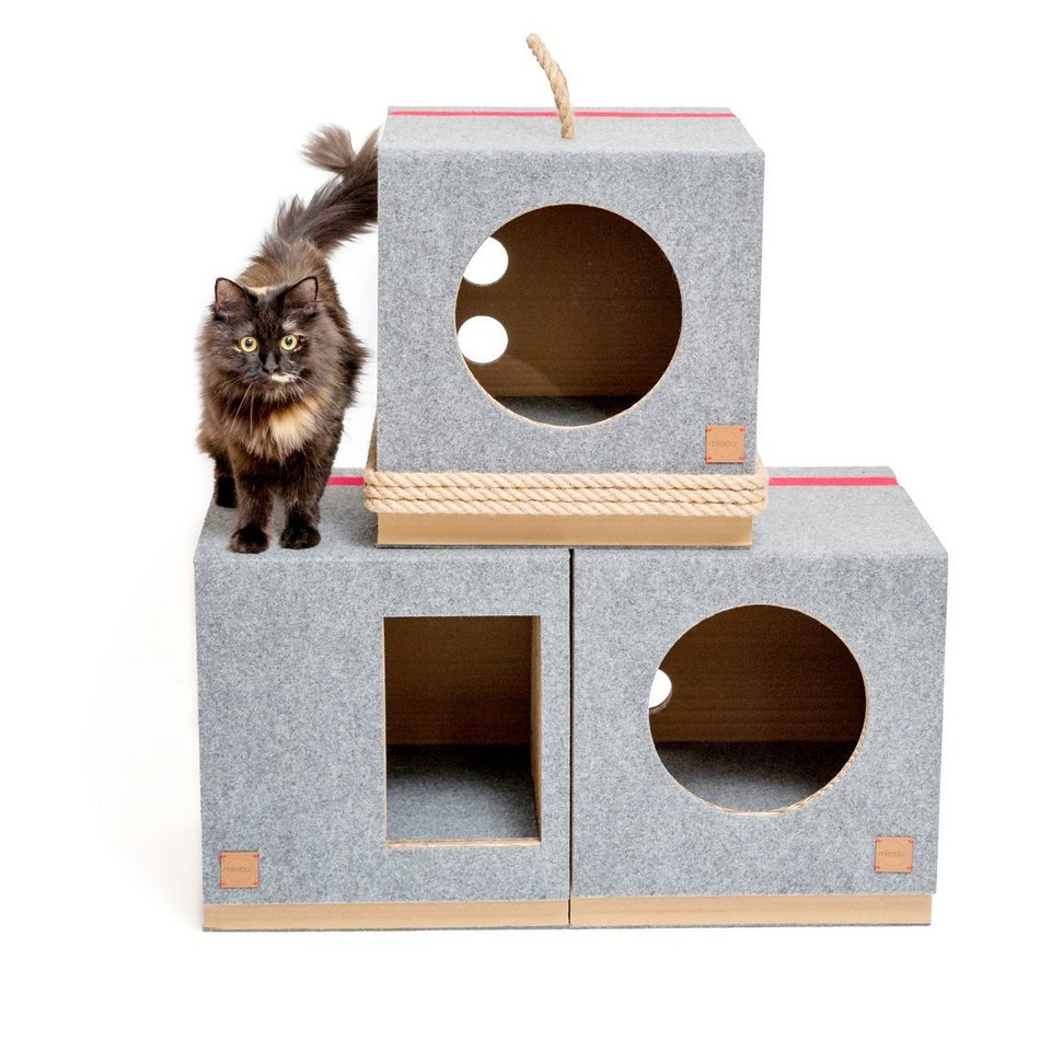 Drapaki dla kotów MIOOU powstają w Łodzi