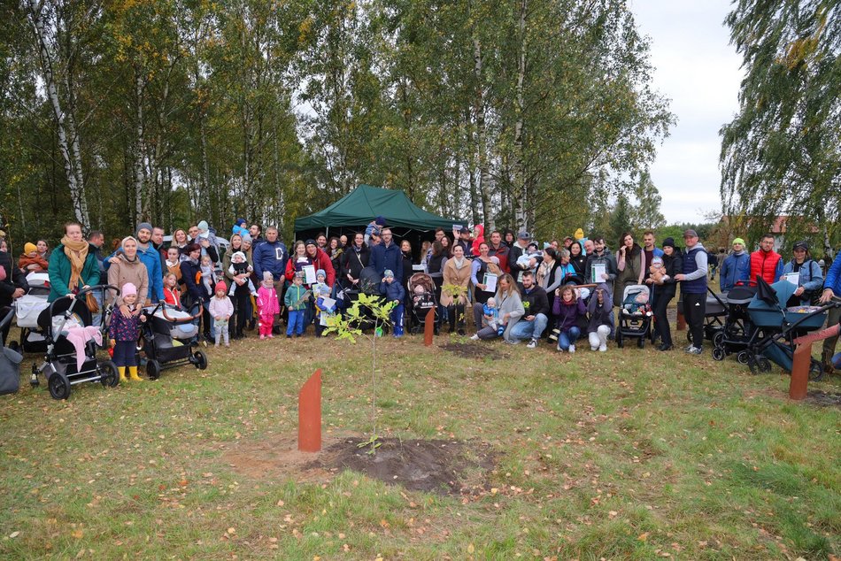 Rozrasta się Las Młodej Łodzi. Sadzenie drzew