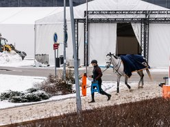 Łódź. Cavaliada Tour w Atlas Arenie