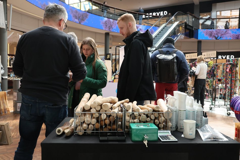 Łódź. Psi Targ w Manufakturze w Łodzi. Każdy miłośnik czworonogów znajdzie tu coś dla siebie
