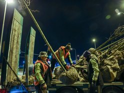 Łódź. Nowe drzewa przy Jana Pawła II