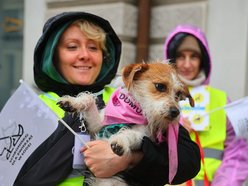 Parada kundelków w Łodzi 2025 przeszła ulicami. Skala słodyczy wysoka jak nigdy!