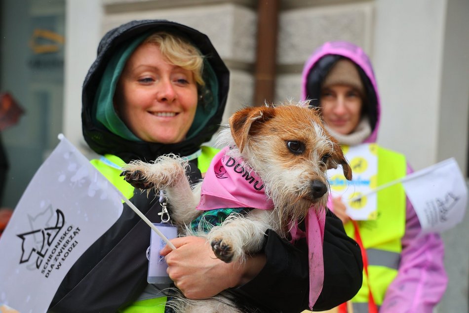 Parada kundelków w Łodzi 2025 przeszła ulicami. Skala słodyczy wysoka jak nigdy!