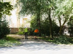 Łódź. Prace pielęgnacyjne w parku przy Leczniczej w Łodzi. Będzie ładniej i wygodniej!