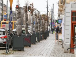 Zabezpieczanie zieleni w Łodzi na zimę