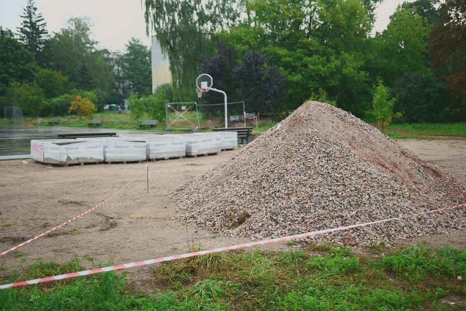 Tu powstaje raj dla pszczół! Park z miododajnym zakątkiem na Radogoszczu