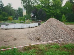 Tu powstaje raj dla pszczół! Park z miododajnym zakątkiem na Radogoszczu