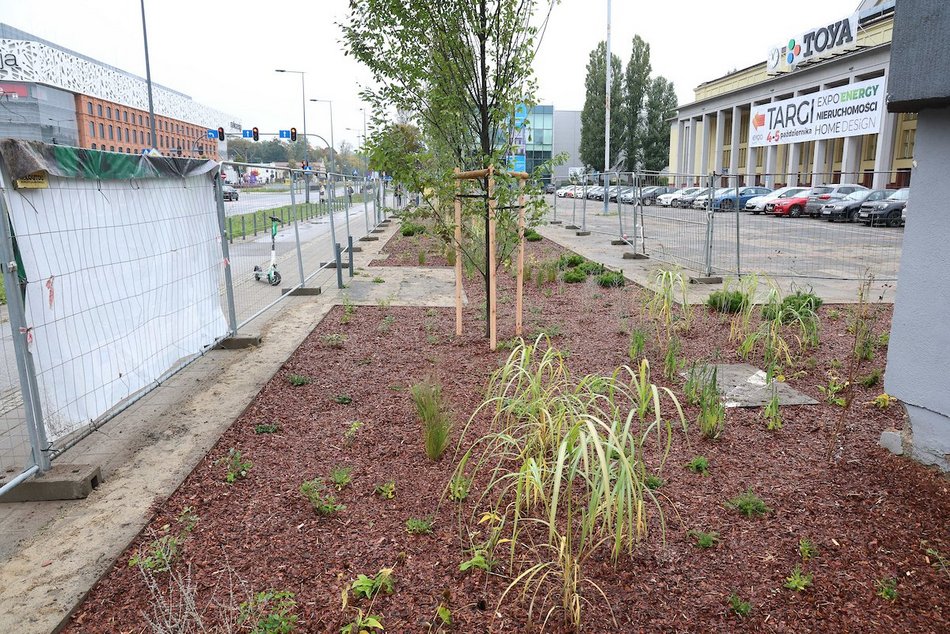 Łódź. Rośliny zamiast betonu przy hali sportowej MOSIR