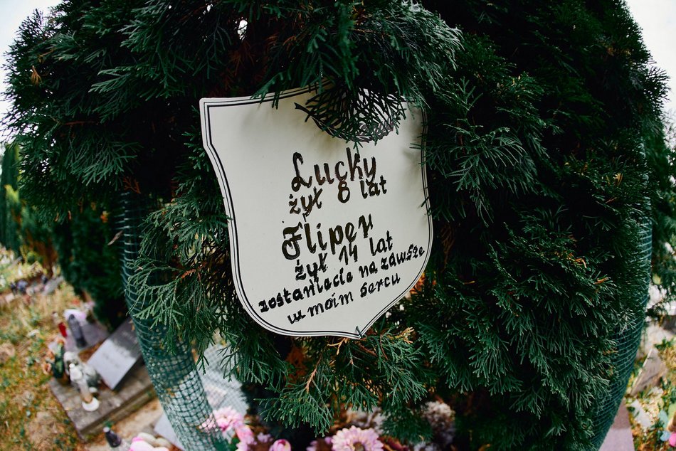 Cmentarz dla zwierząt w Łodzi