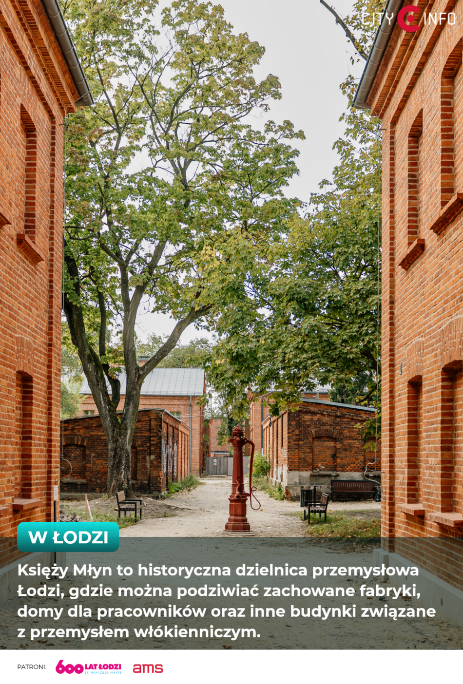 Ciekawostki o Łodzi na ekranach AMS