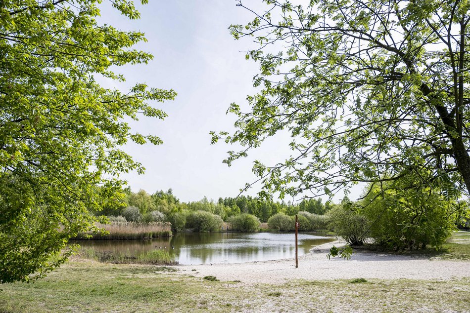 Łódź. Lublinek w Łodzi zmienia się nie do poznania. Właśnie powstało tam miejsce piknikowe
