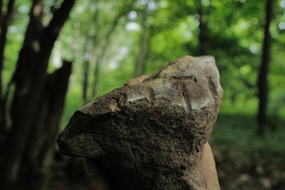 Łódź. Ludzkie kości i nagrobki w Parku Zbójnickim w Łodzi. Niezwykłe odkrycia archeologów z UŁ