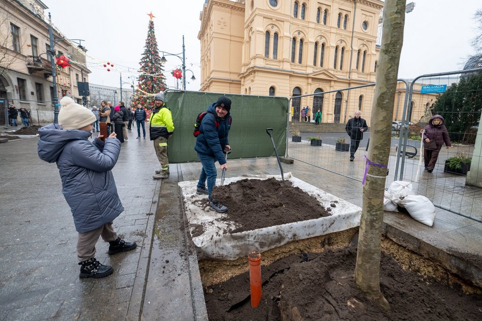 Łódź. Drzewa na Piotrkowskiej w Łodzi posadzone! Łodzianie uczestniczyli w imprezie