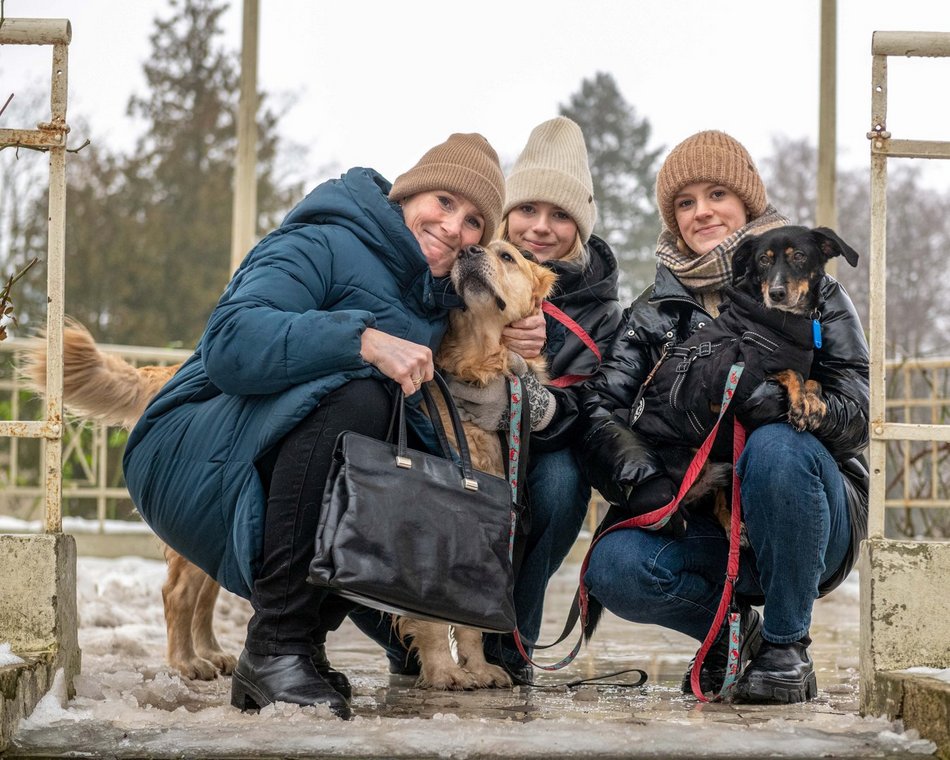 Psiak Bond czekał na dom w schronisku w Łodzi 8 lat