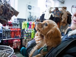 Łódź. Targi dla Zwierzaków w Łodzi. Przy Piotrkowskiej 217 znajdziesz unikalne akcesoria i smakołyki