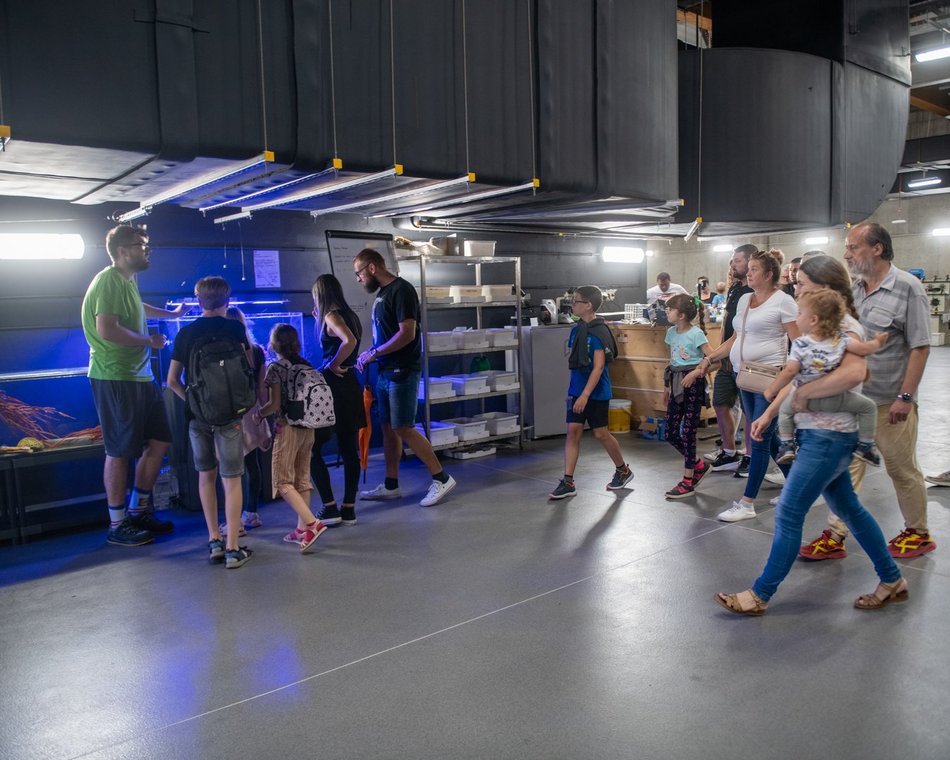 601. Urodziny Łodzi w Orientarium Zoo Łódź