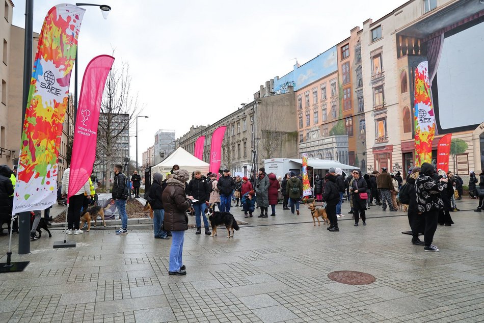 Parada Kundelków w Łodzi