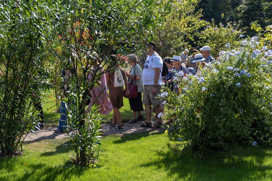 Spacer w Ogrodzie Botanicznym w Łodzi