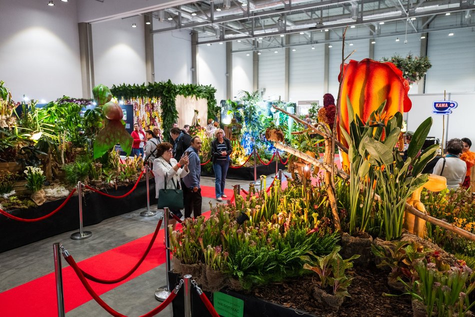 Wystawa Orchidei, Bonsai i Sukulentów w Hali Expo Łódź