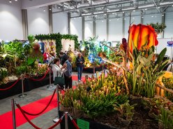 Wystawa Orchidei, Bonsai i Sukulentów w Hali Expo Łódź