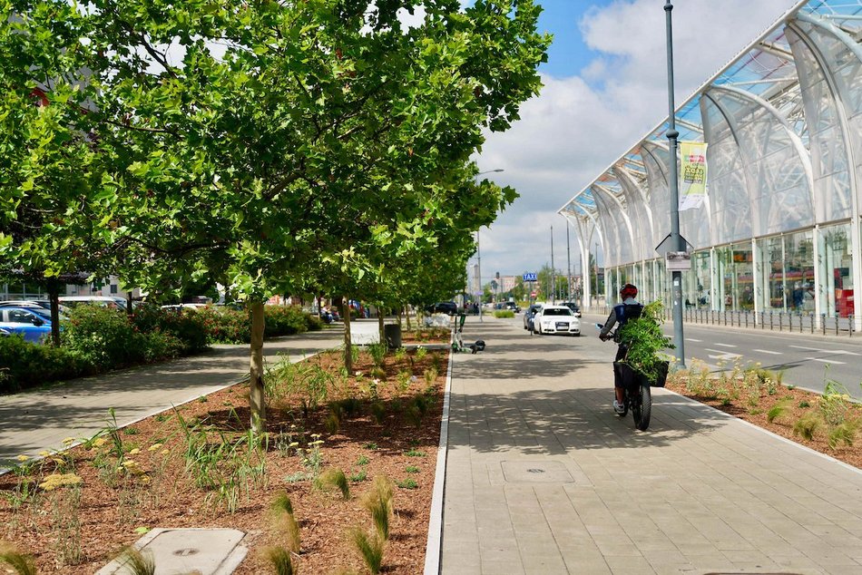 Łódź. Stajnia Jednorożców w Łodzi cała na zielono! Zamiast betonu ponad 500 mkw roślin