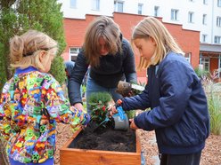 Łódzkie Szkoły dla Klimatu. Ponad 2 miliony złotych na edukację ekologiczną dzieci