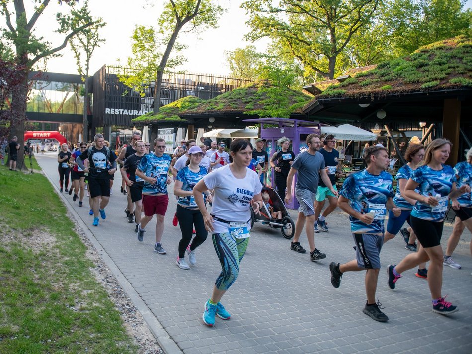 Bieg Rekina w Orientarium Zoo Łódź