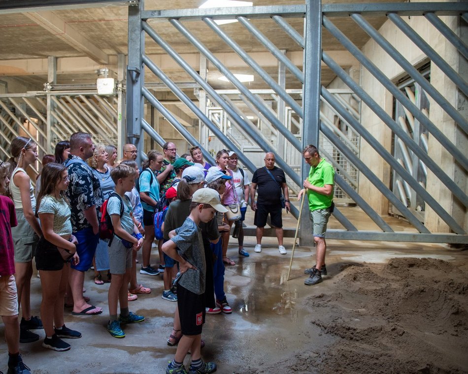 Łódzkie olbrzymy świętują! Dzień Słonia w Orientarium Zoo Łódź
