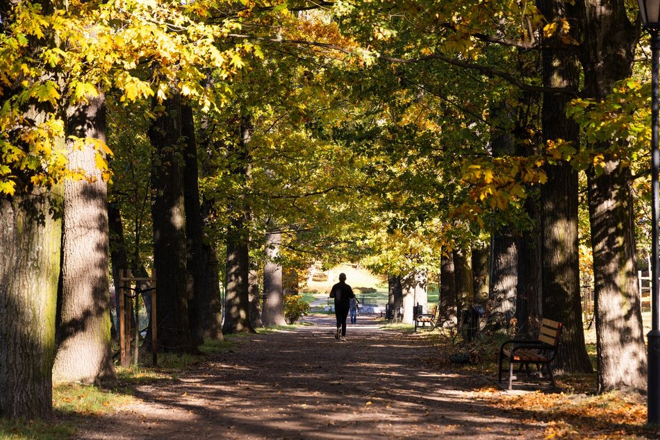 Łódź. Park Helenów w Łodzi w jesiennej odsłonie. Spacer w tym miejscu to czysta przyjemność