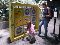 Spongebob w Orientarium Zoo Łódź