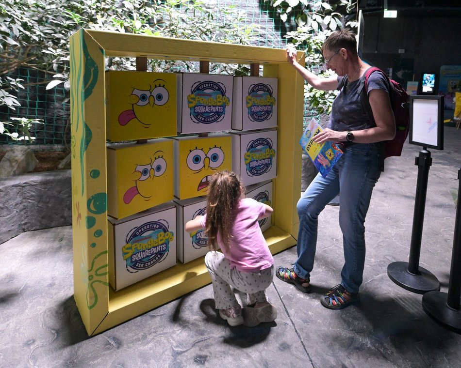 Spongebob w Orientarium Zoo Łódź