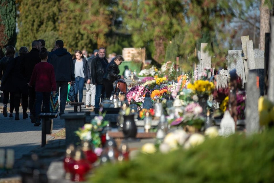 Wyszukiwarka grobów w Łodzi. Znajdź grób na cmentarzu... przez internet