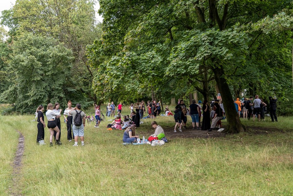 Łódzki Piknik Mangowy w parku Poniatowskiego