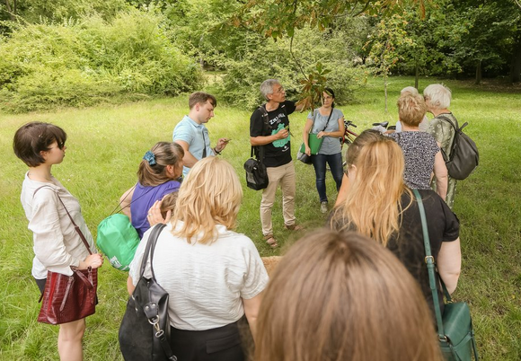 Ogród Botaniczny w Łodzi zaprasza na spacer z mimozami