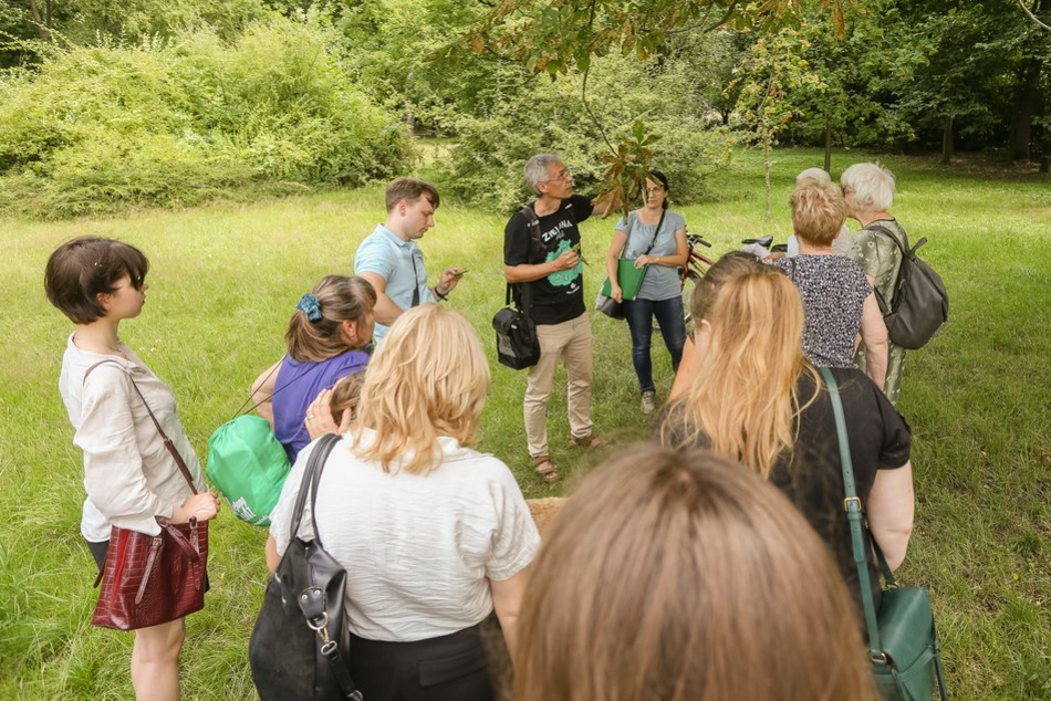 [Translate to Ukraiński:] Ogród Botaniczny w Łodzi zaprasza na spacer z mimozami