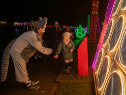 Park Miliona Świateł w Orientarium Zoo Łódź przyciąga tłumy!