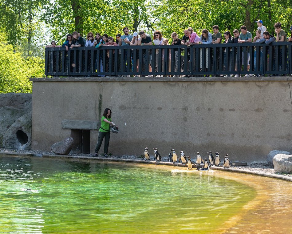 Łódź. Majówka 2025. Łodzianie wybrali relaks w Orientarium Zoo Łódź i w Aquaparku Fala